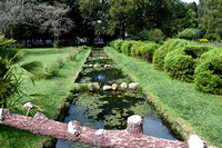 Victoria Park Garden