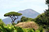 Mt Vesuvius