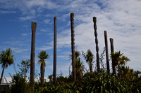 Greymouth