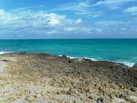 Chastain Beach