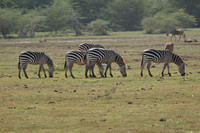 Ngorongoro Conservation Area