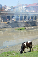 Pashtunath Temple, Kathmandu