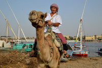 Luxor - Camel Riding